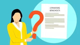Розповідаємо про Структуру Власності Юридичної Особи фото